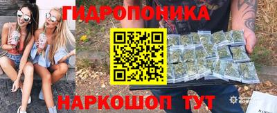 apvp Пушкино
