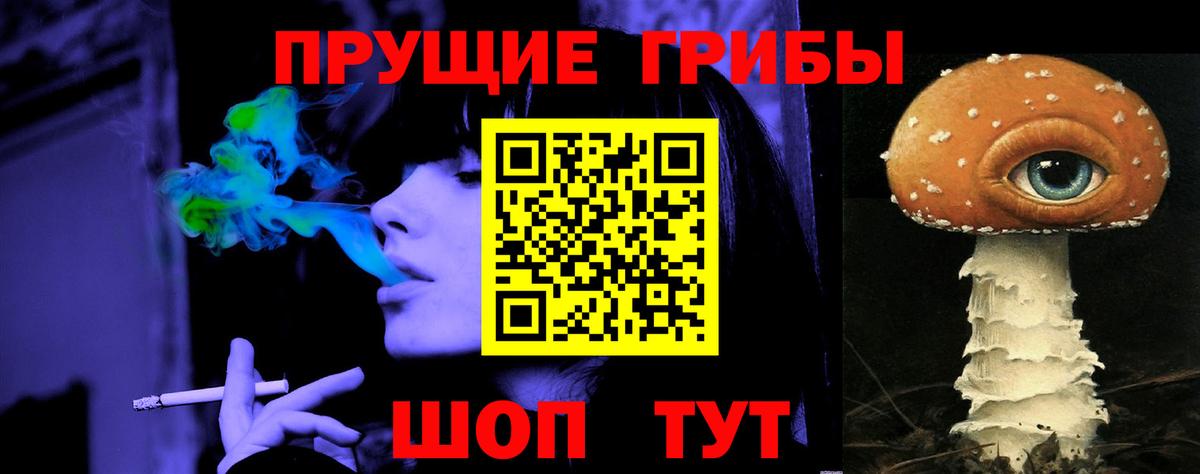 Северск  Псилоцибиновые грибы Psilocybine cubensis  Вход с VPN 