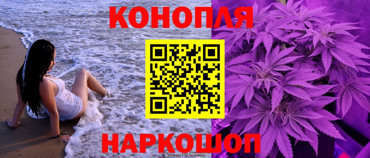 Шишки марихуана гибрид  МАРИХУАНА ГИДРОПОН  Северск  Шишки марихуана план  Вход с VPN 